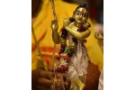 Lord Krishna Abhishekam